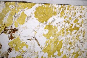 Plane Polarized, E58933/A