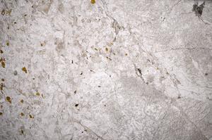 Plane Polarized, E58933/B