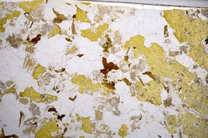 Plane Polarized, E58945/B