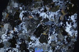 Cross Polarized, E58954