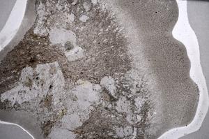 Plane Polarized, E58957