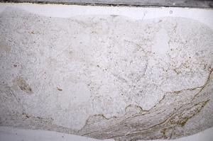 Plane Polarized, E58958