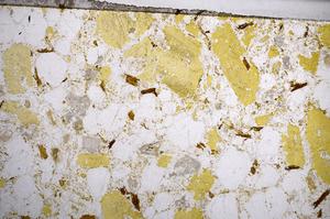 Plane Polarized, E58961