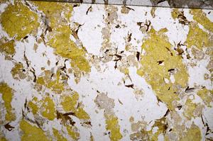 Plane Polarized, E58962