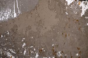 Plane Polarized, E58963/A