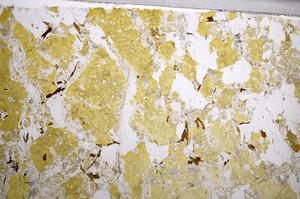 Plane Polarized, E58966