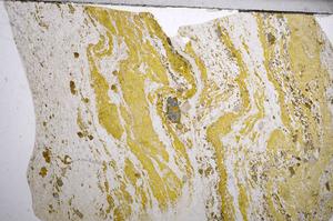 Plane Polarized, E58967/A