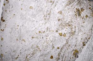 Plane Polarized, E58967/B