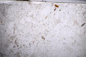 Plane Polarized, E58971/A