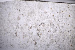 Plane Polarized, E58971/B