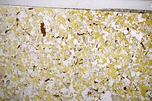 Plane Polarized, E58977