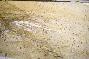 Plane Polarized, E58980