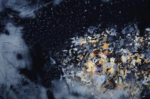 Cross Polarized, E58984