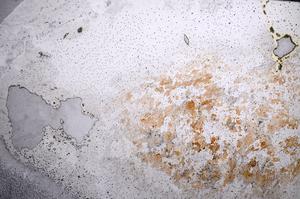 Plane Polarized, E58984