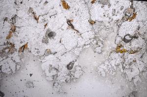 Plane Polarized, E58987/A