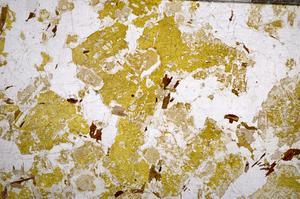 Plane Polarized, E58987/B