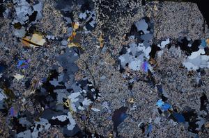 Cross Polarized, E58988