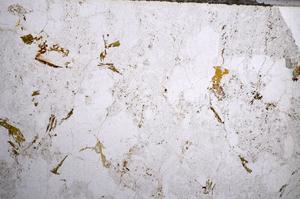 Plane Polarized, E58988