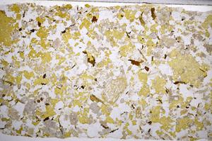 Plane Polarized, E58994