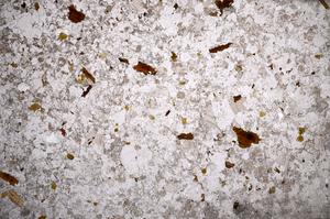 Plane Polarized, E58996/A