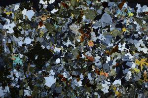 Cross Polarized, E59003