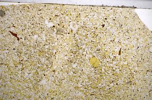 Plane Polarized, E59004