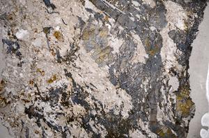 Plane Polarized, E59010/A