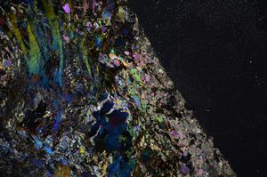 Cross Polarized, E59010/B