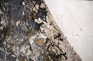 Plane Polarized, E59010/B