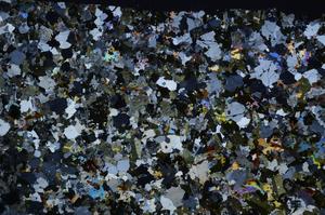 Cross Polarized, E59011