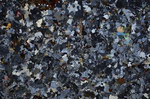 Cross Polarized, E59013/A