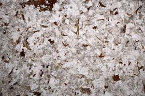 Plane Polarized, E59013/A