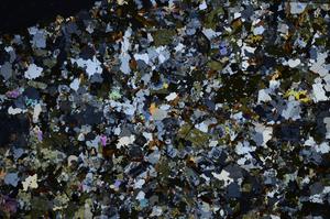 Cross Polarized, E59013/B