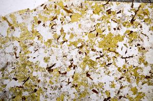 Plane Polarized, E59013/B