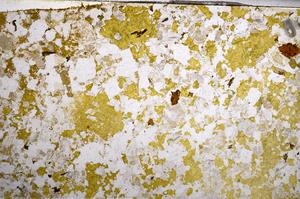 Plane Polarized, E59014