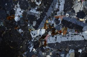 Cross Polarized, E59015/A