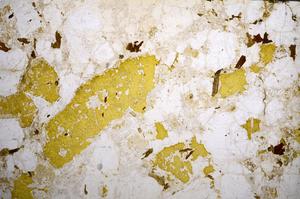 Plane Polarized, E59015/B