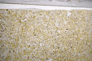 Plane Polarized, E59018