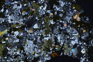 Cross Polarized, E59019