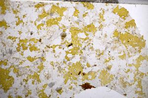 Plane Polarized, E59019