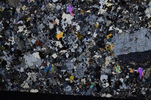 Cross Polarized, E59020/A