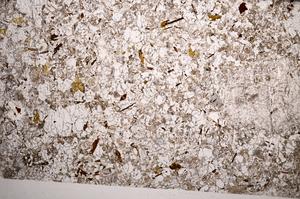 Plane Polarized, E59020/A