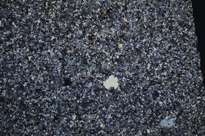 Cross Polarized, E59021/A