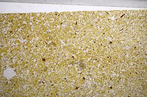 Plane Polarized, E59021/B