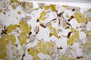 Plane Polarized, E59022