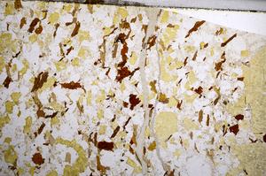 Plane Polarized, E59027