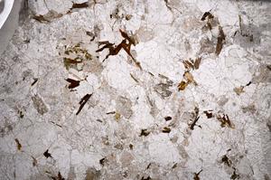 Plane Polarized, E59035/A