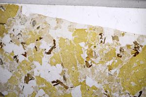 Plane Polarized, E59035/B