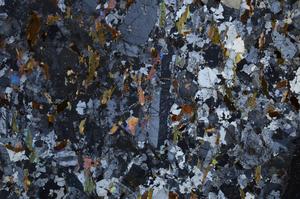 Cross Polarized, E59053/A