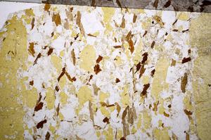 Plane Polarized, E59053/B